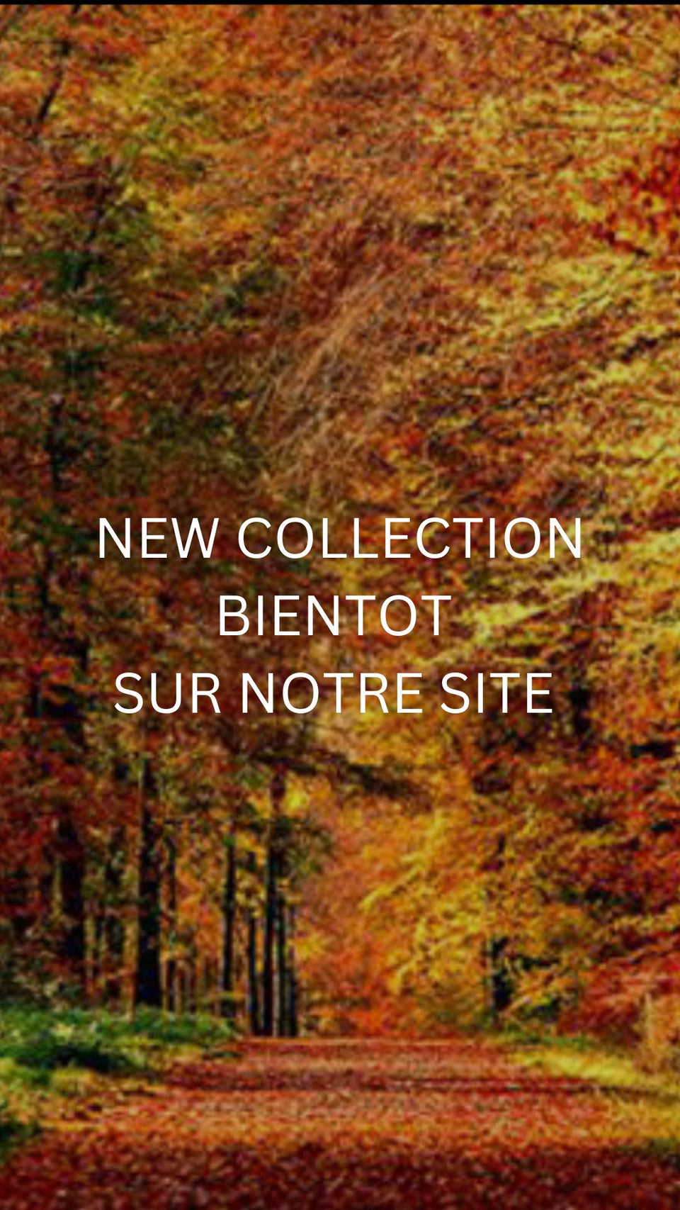 . - Image 1